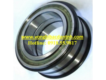 VÒNG BI SL04-5018-PP-2NR INA